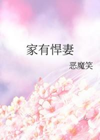 家有悍妻